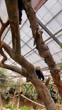 神戸どうぶつ王国に投稿された画像（2023/5/2）