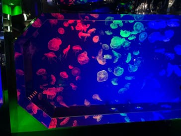 名古屋港水族館に投稿された画像（2023/5/2）