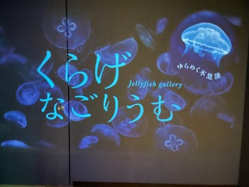 名古屋港水族館に投稿された画像（2023/5/2）