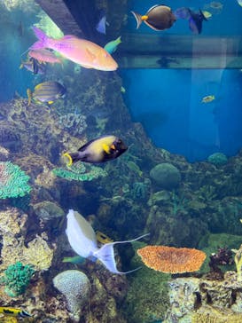 越前松島水族館に投稿された画像（2023/5/2）