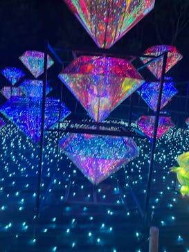 伊豆ぐらんぱる公園に投稿された画像（2023/5/2）