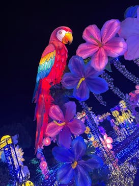 伊豆ぐらんぱる公園に投稿された画像（2023/5/2）