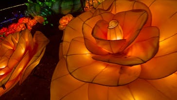 伊豆ぐらんぱる公園に投稿された画像（2023/5/2）