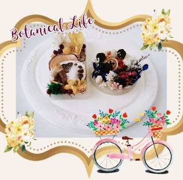 ずこうしつ〜sugamo〜に投稿された画像（2023/5/2）