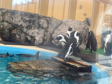 名古屋港水族館に投稿された画像（2023/5/2）