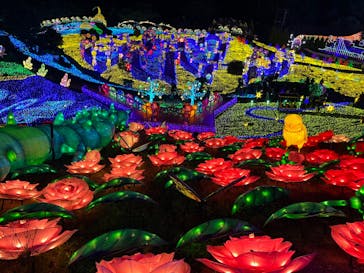 伊豆ぐらんぱる公園に投稿された画像（2023/5/2）