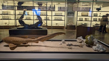 アクアワールド茨城県大洗水族館に投稿された画像（2023/5/2）