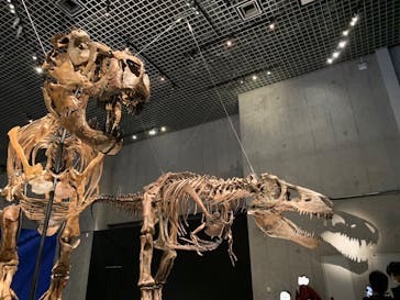 特別展「恐竜博2023」に投稿された画像（2023/5/2）