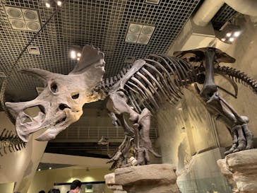 特別展「恐竜博2023」に投稿された画像（2023/5/2）