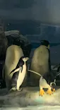 名古屋港水族館に投稿された画像（2023/5/3）