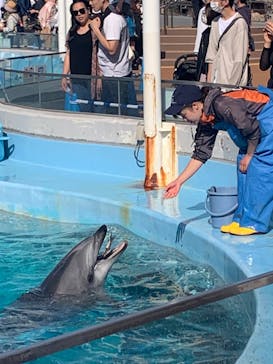 名古屋港水族館に投稿された画像（2023/5/2）