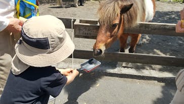 まかいの牧場に投稿された画像（2023/5/2）
