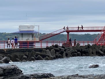 串本海中公園水族館に投稿された画像（2023/5/1）
