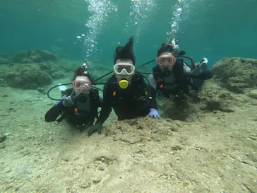 武藤潜水に投稿された画像（2023/5/2）