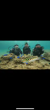 武藤潜水に投稿された画像（2023/5/2）