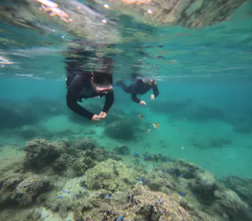 武藤潜水に投稿された画像（2023/5/2）