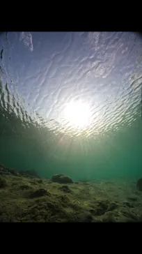 武藤潜水に投稿された画像（2023/5/3）