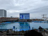 名古屋港水族館に投稿された画像（2023/5/3）