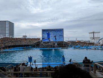 名古屋港水族館に投稿された画像（2023/5/3）
