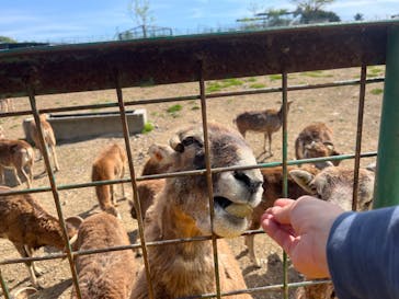 岩手サファリパークに投稿された画像（2023/5/3）