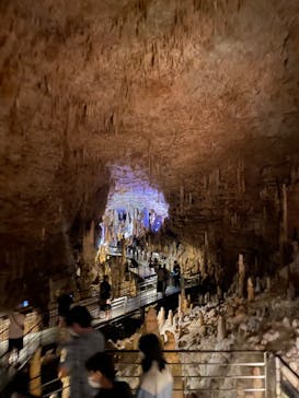 おきなわワールドに投稿された画像（2023/5/3）