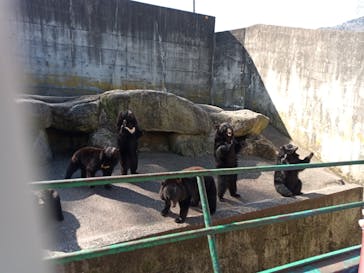 奥飛騨クマ牧場に投稿された画像（2023/5/3）