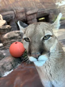天王寺動物園に投稿された画像（2023/5/3）