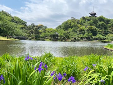 三溪園に投稿された画像（2023/5/3）