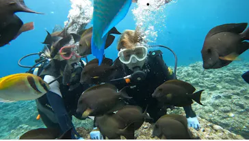 武藤潜水に投稿された画像（2023/5/3）