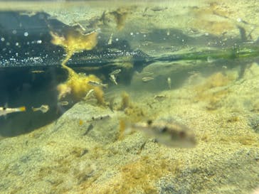 環境水族館アクアマリンふくしまに投稿された画像（2023/5/3）