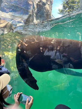環境水族館アクアマリンふくしまに投稿された画像（2023/5/3）