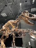 特別展「恐竜博2023」に投稿された画像（2023/5/3）