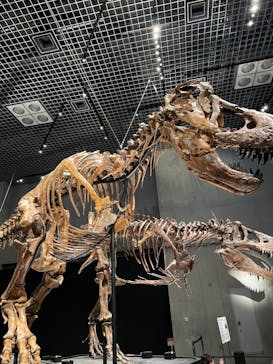 特別展「恐竜博2023」に投稿された画像（2023/5/3）