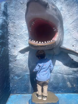 南知多ビーチランド＆南知多おもちゃ王国に投稿された画像（2023/5/3）