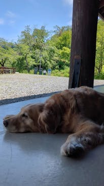 わんダフルネイチャーヴィレッジに投稿された画像（2023/5/3）