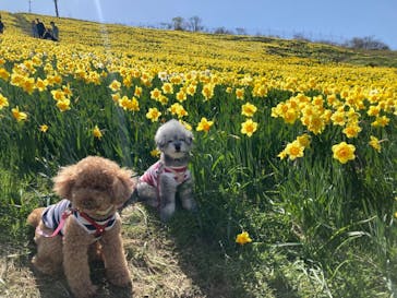 びわ湖バレイに投稿された画像（2023/5/3）