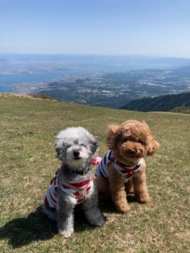 びわ湖バレイに投稿された画像（2023/5/3）