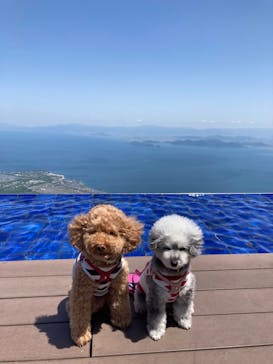 びわ湖バレイに投稿された画像（2023/5/3）