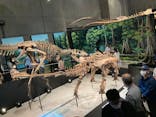特別展「恐竜博2023」に投稿された画像（2023/5/3）