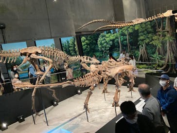 特別展「恐竜博2023」に投稿された画像（2023/5/3）