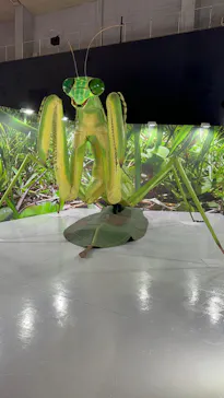 ひらかたパークに投稿された画像（2023/5/3）