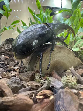 ひらかたパークに投稿された画像（2023/5/3）