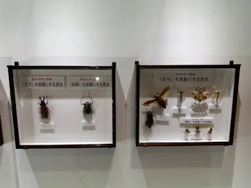 ひらかたパークに投稿された画像（2023/5/3）