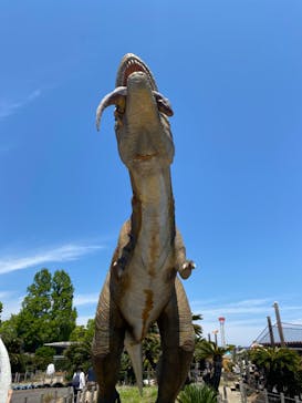 伊豆ぐらんぱる公園に投稿された画像（2023/5/3）