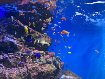 仙台うみの杜水族館に投稿された画像（2023/5/3）