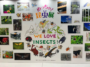 ひらかたパークに投稿された画像（2023/5/3）