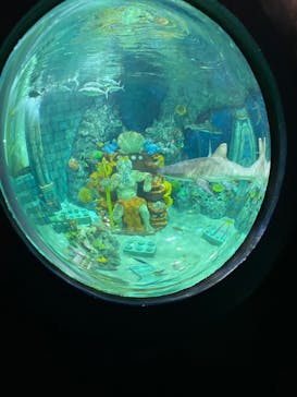 レゴランドⓇ・ジャパン・リゾートに投稿された画像（2023/5/3）