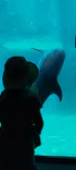名古屋港水族館に投稿された画像（2023/5/3）