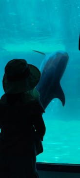 名古屋港水族館に投稿された画像（2023/5/3）