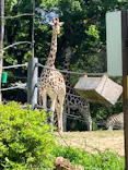 天王寺動物園に投稿された画像（2023/5/3）
